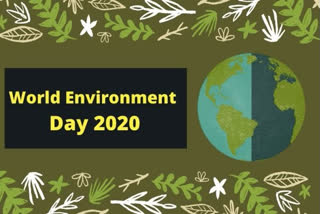 World Environment Day: Let's pause and focus on our biodiversity  തിരിഞ്ഞുനോക്കാം നഷ്ടമാകുന്ന ആ ജൈവ സമൃദ്ധിയിലേക്ക്....  ലോക പരിസ്ഥിതി ദിനം.  World Environment Day: