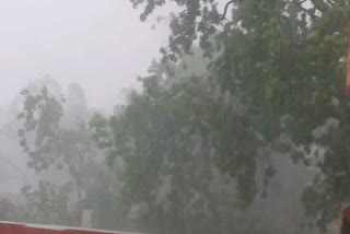 rain in jhabua