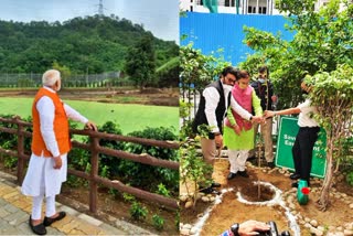 pm modi and union ministers on world environment day