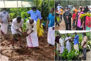 പരിസ്ഥിതി ദിന ആഘോഷം  തോട്ടുമുക്കം നവധാര ക്ലബ്  കുടുംബങ്ങൾക്ക് പച്ചക്കറി വിത്തുകൾ  എംഎൽഎ ജോർജ് എം.തോമസ്  environmental day celebration  thottumukkam navadhara club  vegetable seed distribution thottumukkam  kozhikode environmental day celebration