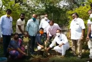 plantation program in badrachalam