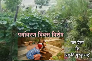 nature lovers, पर्यावरण दिवस विशेष, world environment day, दंपत्ति बना मिसाल, विश्व पर्यावरण दिवस, डूंगरपुर न्यूज, पर्यावरण न्यूज, environment day news, dungerpur news