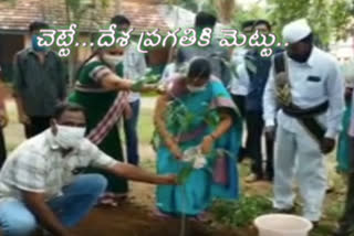 visakha narsipatnam rdo planted trees in her office due to the occasion of world environmental day