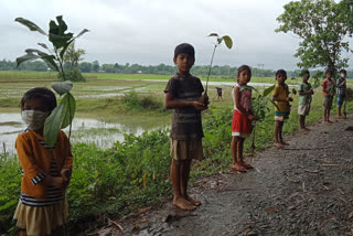 Tingkhong tree planting