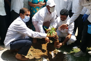 MLA Vinay Bhaskar Participated In World Environment Day In Hanmakonda