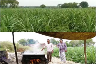 Sugar cane farmers are making jaggery due to lockdown in Giridih