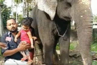 Elephant Umadevi