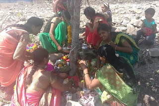 Bidar: Vata Savitri Hunnime Celebration by ladies...!