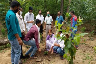 VC of RU planted sapling in Botanical Garden in ranchi