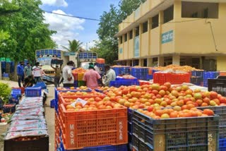 tomato price increase