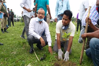 গছপুলি ৰোপন কাৰ্যসূচী