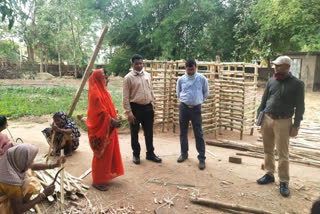 Women of Bihan group make tree guard
