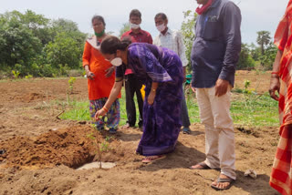 గ్రామస్థులతో కలిసి మొక్కలు నాటిన పాలకొండ ఎమ్మెల్యే