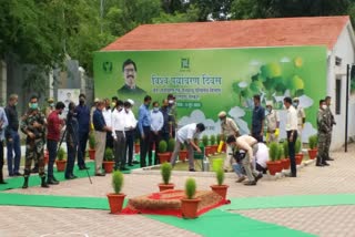 CM Hemant Soren planted swarna champa plant in ranchi