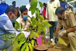 cm appeals all people to tree plantation on the occasion of world environment day