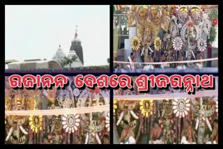 snana-purnima-gajanan-besh-of-srijagannath-at-puri