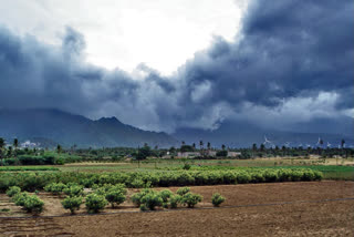 Good rainfall activity expected next week