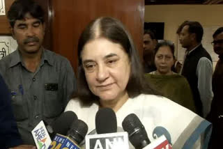 BJP MP Maneka Gandhi