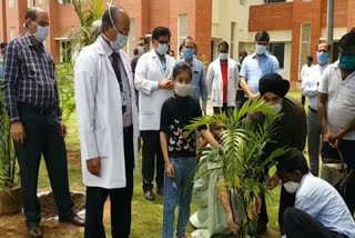 plantation on world environment day in chandigarh pgi