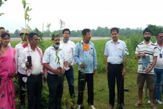 World environment day celebration naoboicha lakhimpur assam etv bharat news