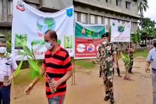 Plantation by BSF because of world environment day karimganj assam etv bharat news