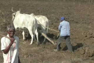 Farmer