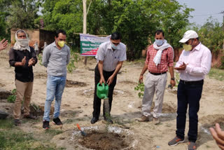 Police Commissioner's tree planting on Environment Day