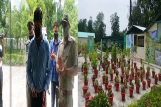 uttarakhand-largest-bio-diversity-park-inaugurated-in-haldwani