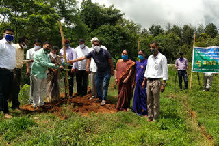 World Environment Day in sakaleshapura