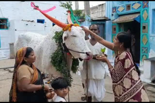 festival of Farmers Khara Hunnime will not celebrated in Bagalkot due to Corona