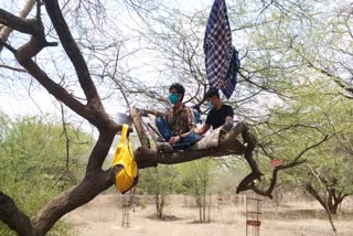 वन्यजीव गणना  Wildlife census  कोरोना वायरस  लॉकडाउन  राजस्थान में वन्यजीव गणना  वन्यजीवों की गणना पर कोरोना का असर  जयपुर न्यूज  राजस्थान न्यूज  rajasthan news  jaipur news  wildlife census in rajasthan  Corona's impact on wildlife counts