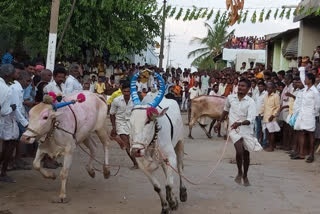 ಕರಿ ಹರಿಯುವ ಸ್ಪರ್ಧೆ