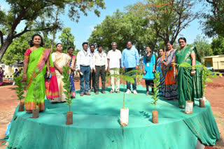 Hundreds of Tree Planting in Waste Land