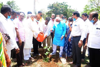 Sapling planting program from Davanagere Municipality