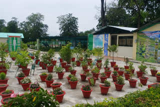uttarakhand-largest-bio-diversity-park-inaugurated-in-haldwani