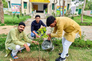 Corruption Free India Organization did plantation on World Environment Day in noida