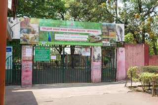 Sidhartha zoo