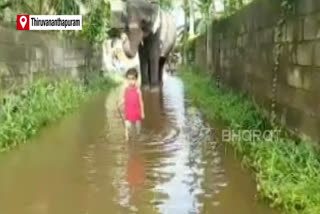 Kerala Toddler and elephant's companionship video goes viral