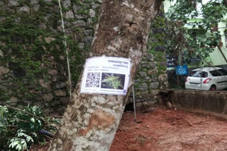 qr code for trees  pathanamthitta news  പത്തനംതിട്ട കലക്‌ടറേറ്റ്  ഡിജിറ്റല്‍ ഗാർഡൻ