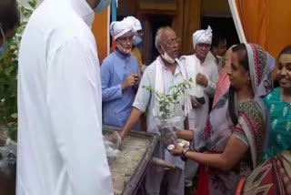 jain-family distribute-101-plant