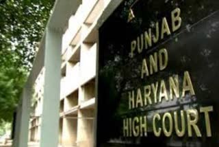 punjab and haryana high court orders status quo on service of pti teachers in haryana