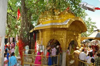 mata chintpurni temple may open on eight june