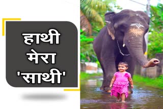 नन्हीं बच्ची का हाथी के साथ वीडियो , हाथी और बच्ची का वायरल वीडियो, elephants companionship goes viral