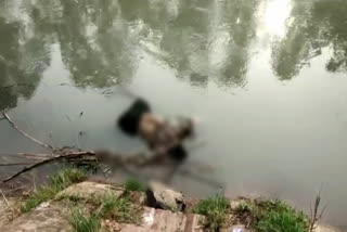 Dead body of railway worker found in SYL canal of Kurukshetra