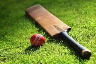 Sussex Cricket Appoints Gary Wallis as Interim Head of Community Cricket