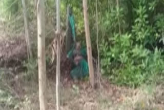 Bannerghatta: woman dead body found in forest area