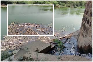 Quarry River getting polluted
