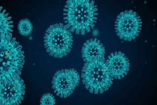 ناسک میں 56 بچے کورونا وائرس سے صحتیاب
