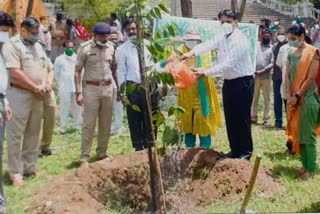 ماحول کے تحفظ کے پیش نظر شجرکاری کرکے ڈپٹی کمشنر نے عوام کو پیغام دیا