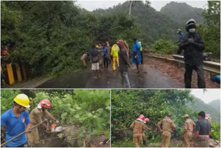 nadukanni road traffic news  kerala tamilnadu border news  nadukaani road news  നാടുകാണി ചുരത്തില്‍ മരങ്ങൾ വീണ് ഗതാഗതം തടസപ്പെട്ടു  നാടുകാണി ചുരം വാർത്ത  നാടുകാണി ചുരത്തില്‍ ഗതാഗതം തടസപ്പെട്ടു